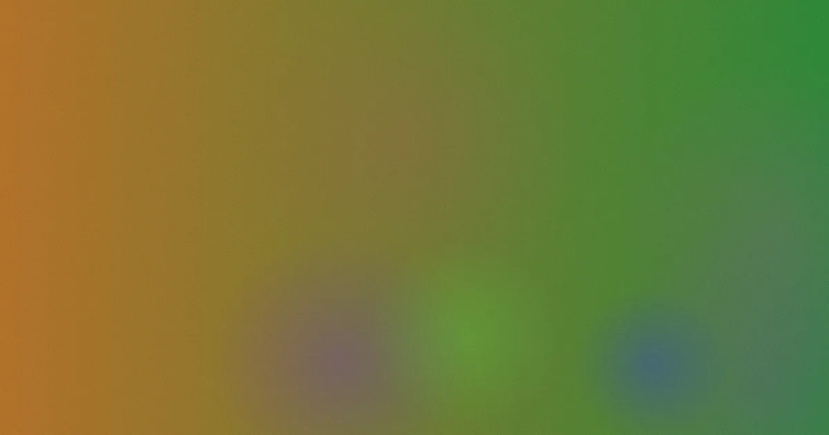 晓的笔顺避坑：顺序与字形别混淆